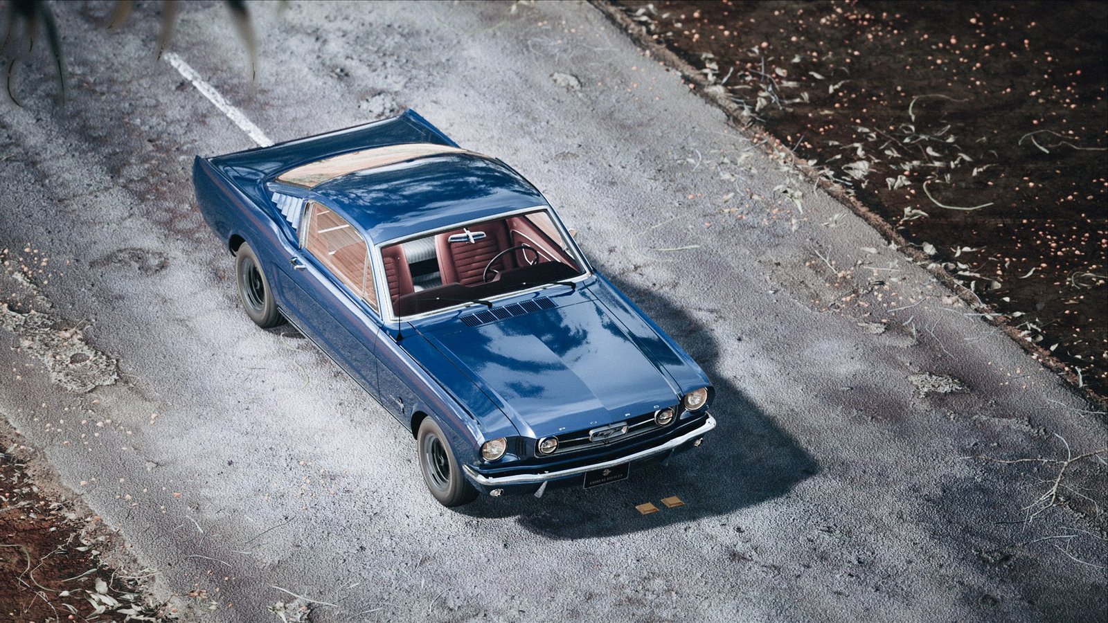 Desert Mustang Projektbild